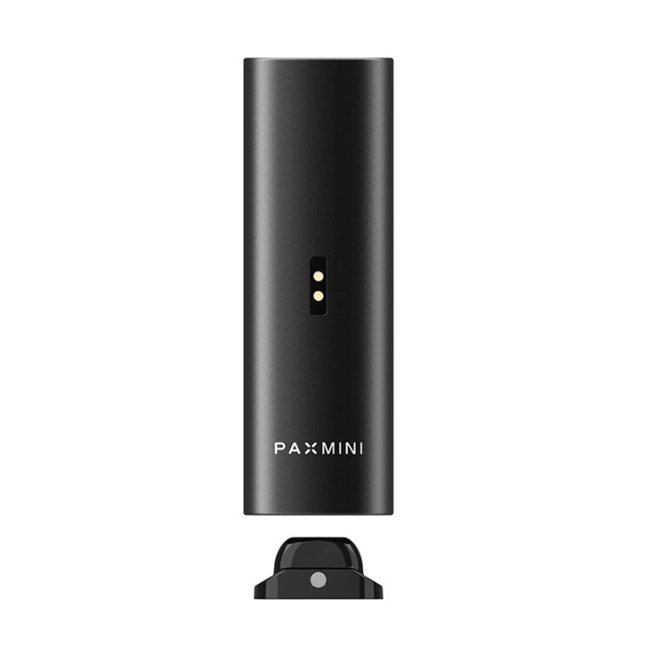 PAX Mini 2